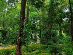 -成都市活水公园