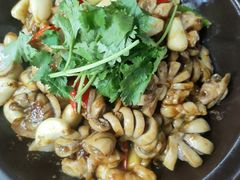 -院里寻菜·精致庭院菜(观沙岭店)