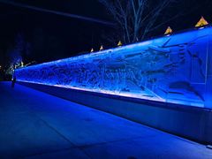 -老街冷水鱼烧烤(河堤夜市店)