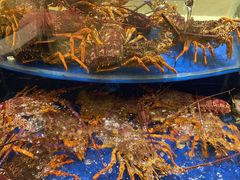 -海景壹号大酒店(滨湖店)