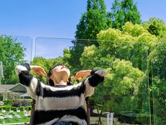 -J Create城市露营咖啡·简餐·宠物(上海动物园店)