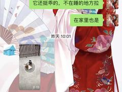 -宠物之家Pets Home 宠物寄养酒店