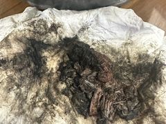 -御面斋精品面馆