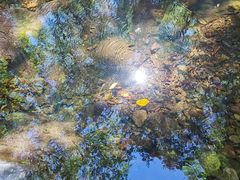 -云岫谷游猎自然风景区