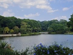 -东莞植物园