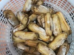 -四海蒸鲜蒸汽海鲜自助(北戴河店)