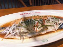 -丹江渔村(望京店)