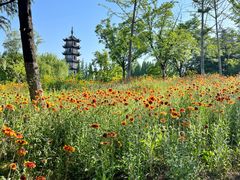 -桃花岛公园
