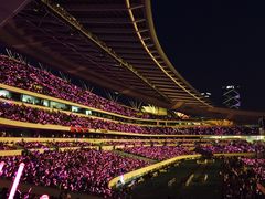 -南京奥林匹克体育中心-体育馆