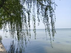 -阳澄湖半岛旅游度假区