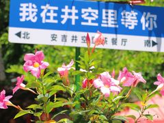 -井空里大峡谷