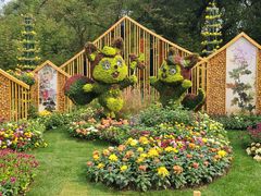 -上海共青森林公园