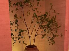 -舒小悦·舒养SPA·古法推拿(光环中心店)