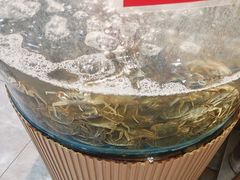 -仙螺岛海鲜自助餐厅(总店)