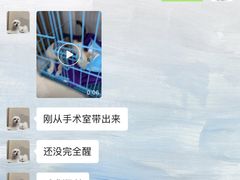 -瑞鹏宠物医院·眼科·皮肤·中兽医(大悦城分院)