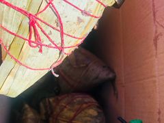 蛋黄肉粽-赵记粽子(司前街店)