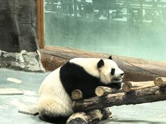 -青藏高原野生动物园