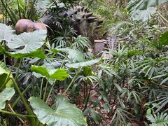 -海南热带野生动植物园