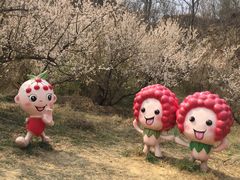 -樱桃沟景区