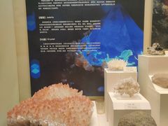 -天津自然博物馆