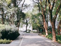 -东湖落雁景区