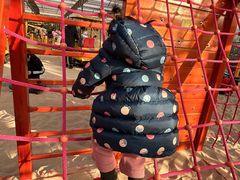 -南宫五洲植物乐园