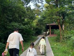 -青龙山国家森林公园