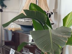 -22ºN BISTRO西餐&酒馆