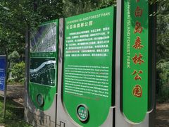 -长白岛森林公园