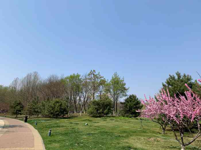 潮白河五环公园-"大厂很漂亮的公园,景色很是不错,早晨过来.