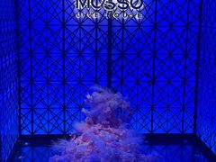 -MOSSO·Liveshow(M3香港广场店)