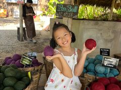 -大象粑粑造纸公园