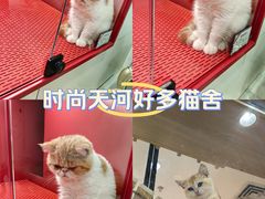 -时尚天河商业广场