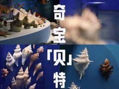 -金沙遗址博物馆