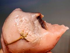 含春粉团-交通大学（闵行校区）-第二餐饮大楼