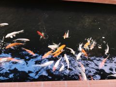 -侠成水上农庄(工业大道店)