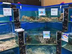 水产区-君港海鲜(三亚湾店)