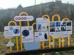 -平湖九龙山旅游度假区