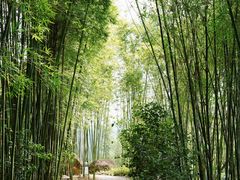 -水底山庄园温泉
