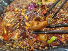 特色肥肠-烧哥美蛙肥肠鱼火锅·十五年社区店