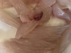 脆肉皖鱼肉-正能量脆肉鲩火锅