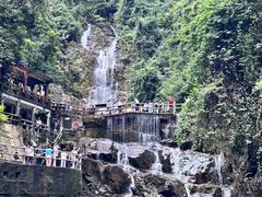 -鼎湖山风景区