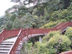 -广州市石门国家森林公园