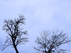 -硗碛藏寨·神木垒景区
