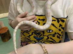 -藦茜花园宠物主题亲子互动体验馆(国顺东路店)