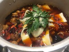 -晓彭肥肠鸡·泡椒鸡火锅(水木天地店)