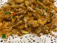 美味小河虾-潮十三潮汕砂锅粥(高新四路大都荟店)
