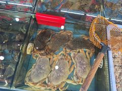 -七鲜渔港美食餐厅(巽寮湾海景店)