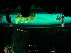 iphone_upload_pic-珠海横琴长隆《卡卡虎奇遇记》