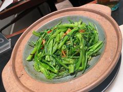 通菜-港丽餐厅(天河城店)